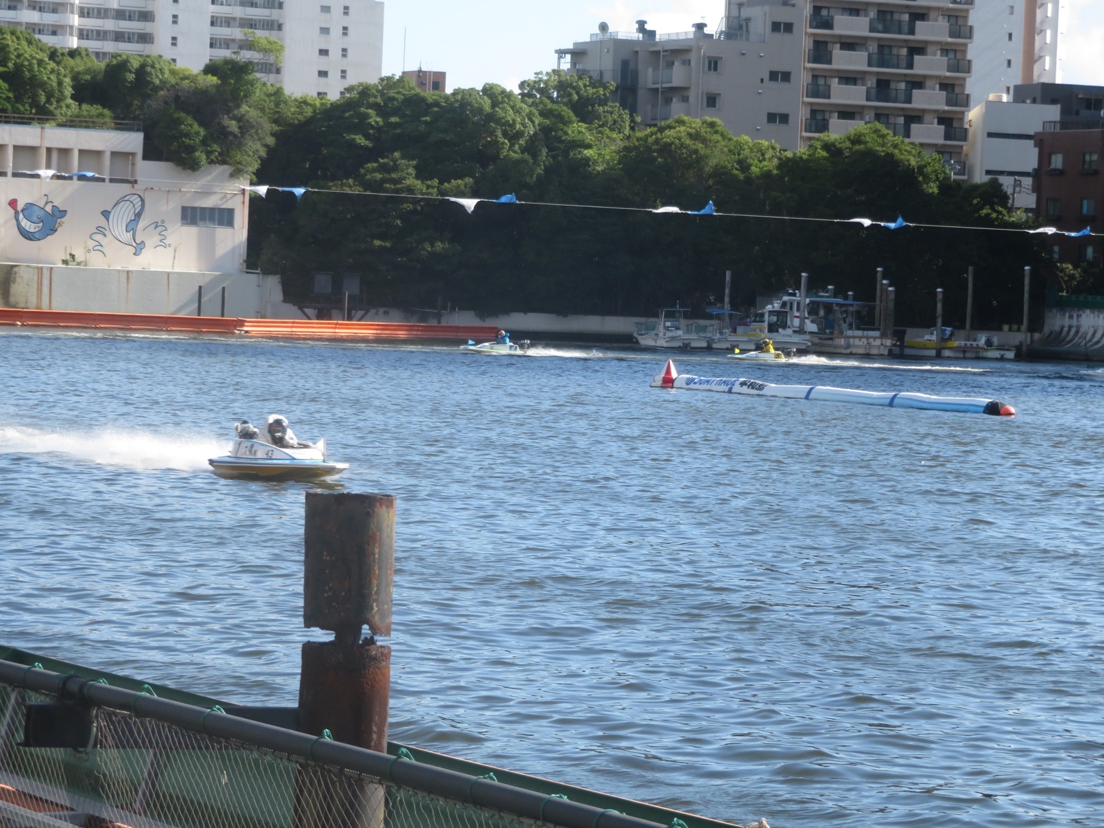 ボートレース平和島の水面を走る艇